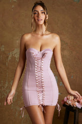 Lace Up Corset Bandeau Micro Mini Dress In Mauve